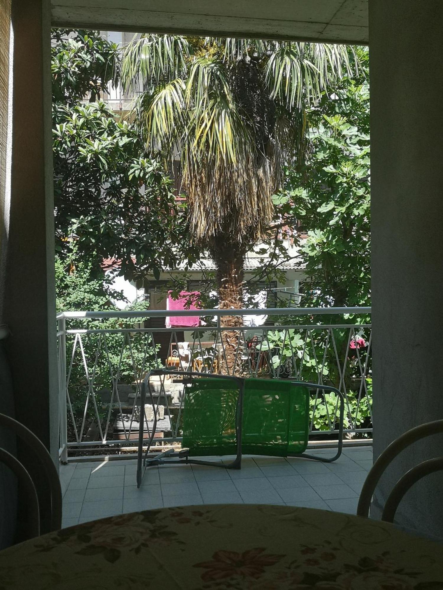 Apartman Adriatic Pavlinovic - 马卡尔斯卡 外观 照片
