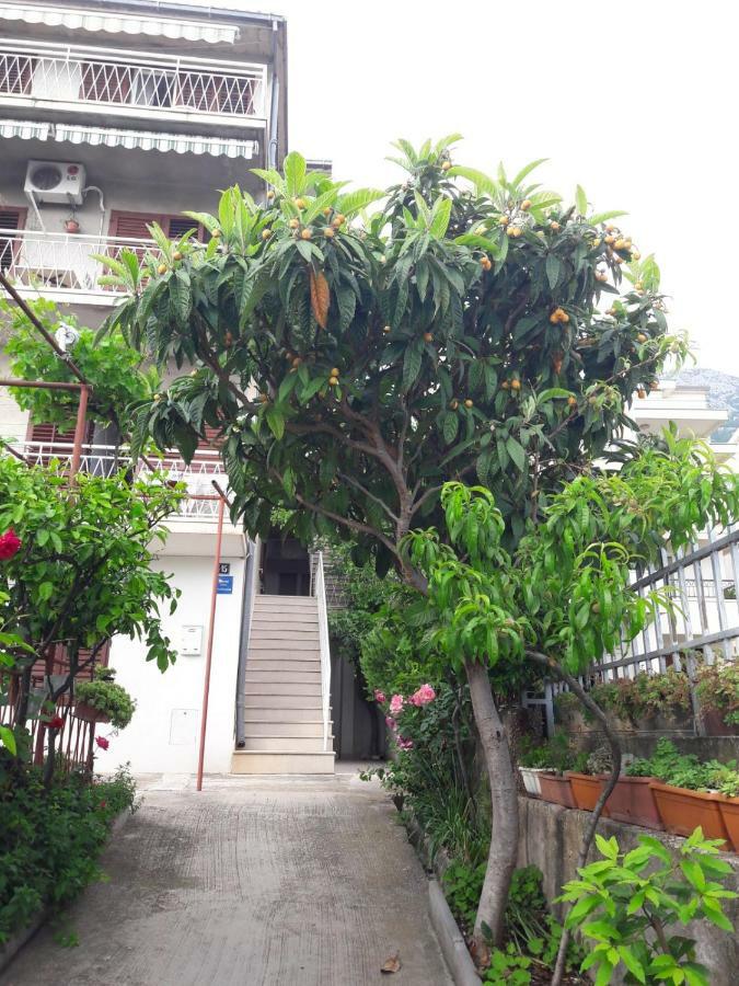Apartman Adriatic Pavlinovic - 马卡尔斯卡 外观 照片